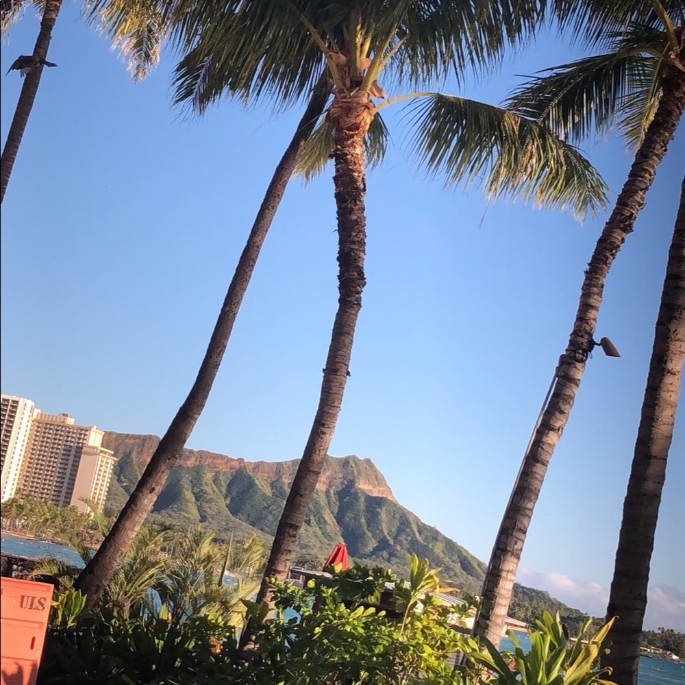 Meet your Posher, Ania